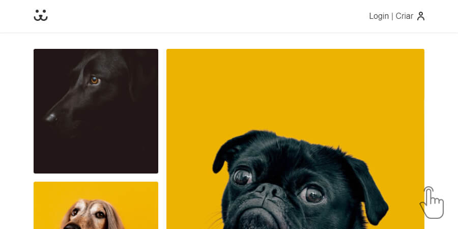 Rede Social Dogs com React